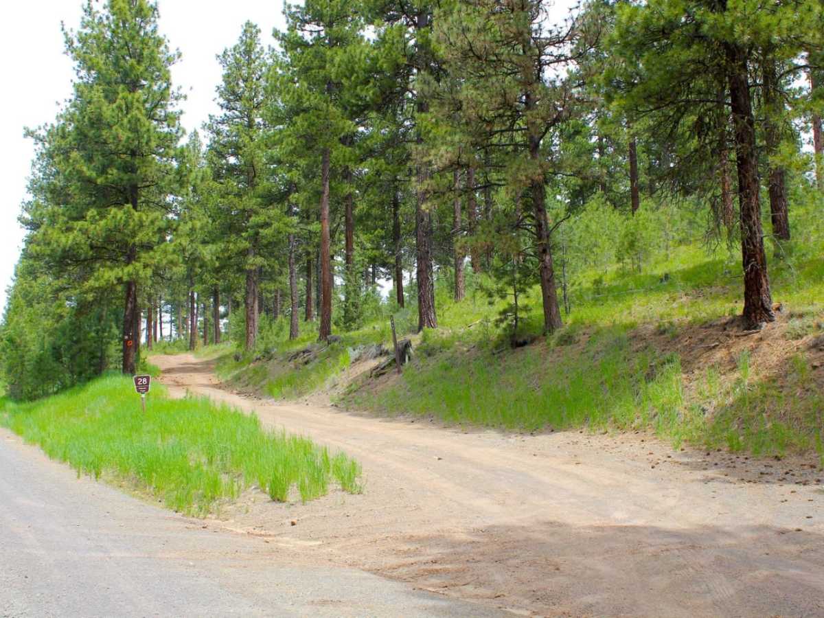 Calamity Butte Lookout photo 5