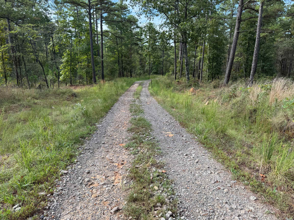 Hunter Branch photo 3