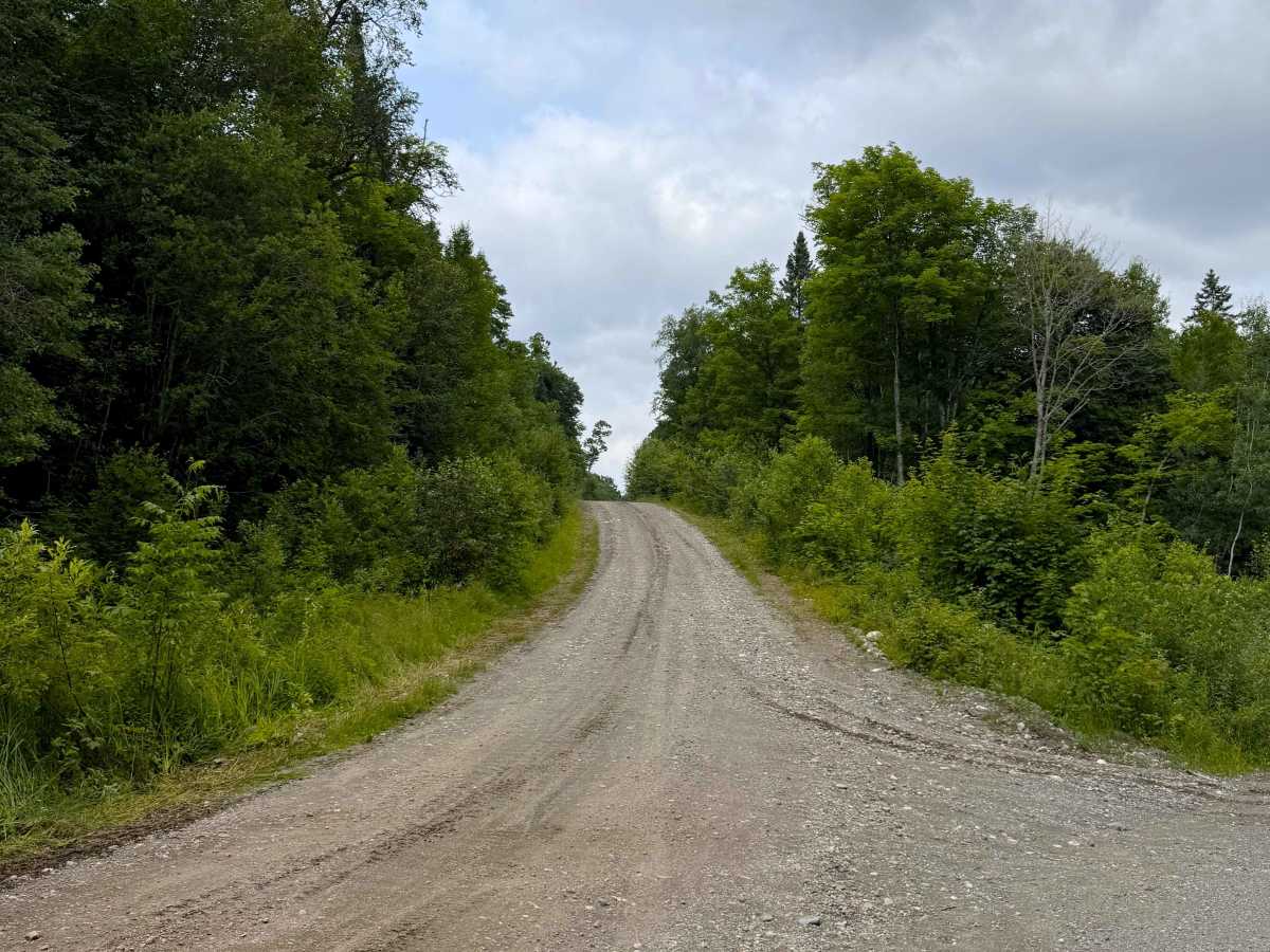 Research Camp trail photo