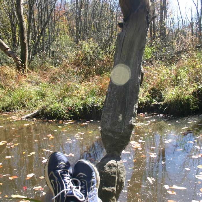 Near Lake Brandt Loop