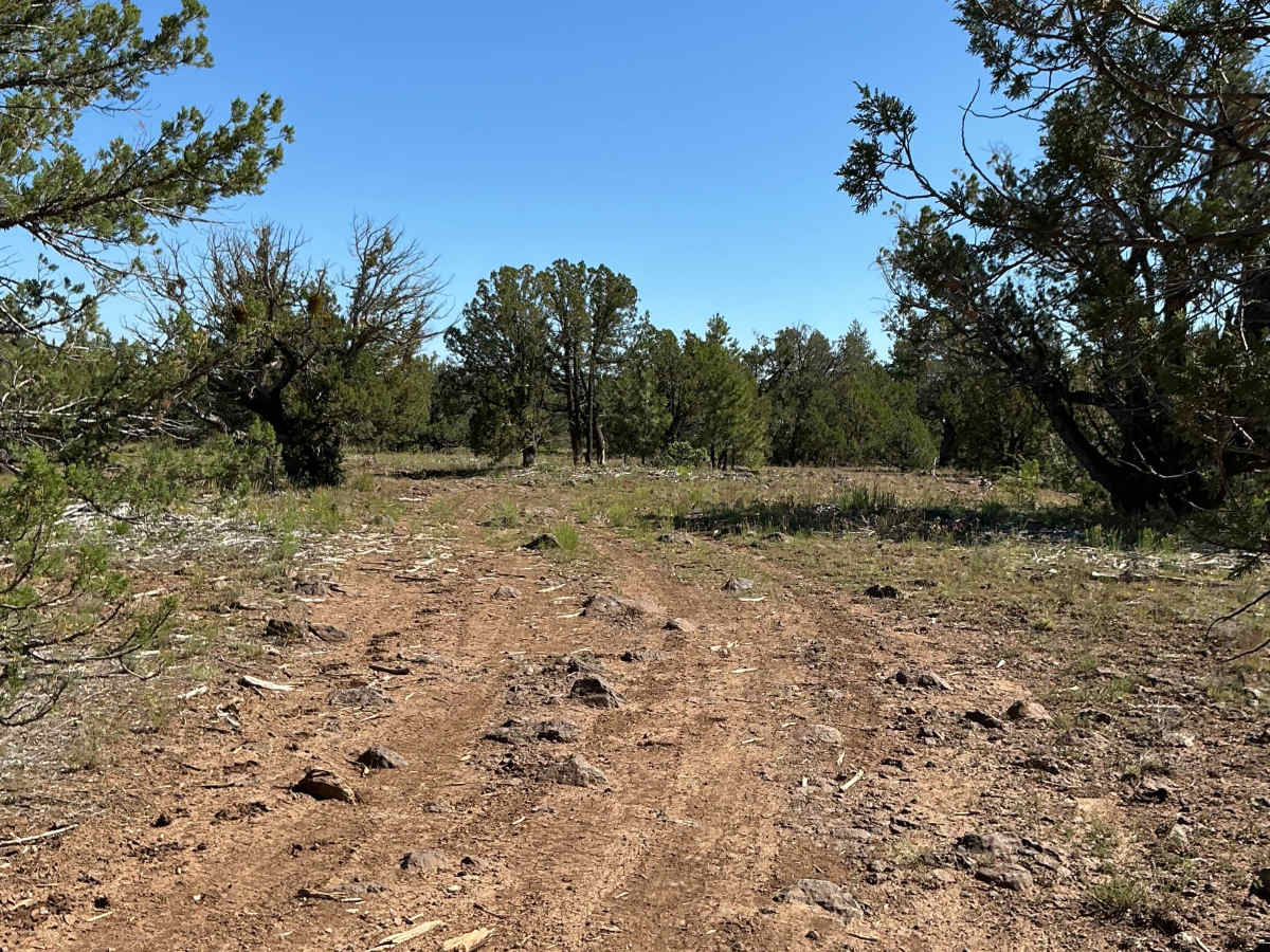 FS 142B  trail photo
