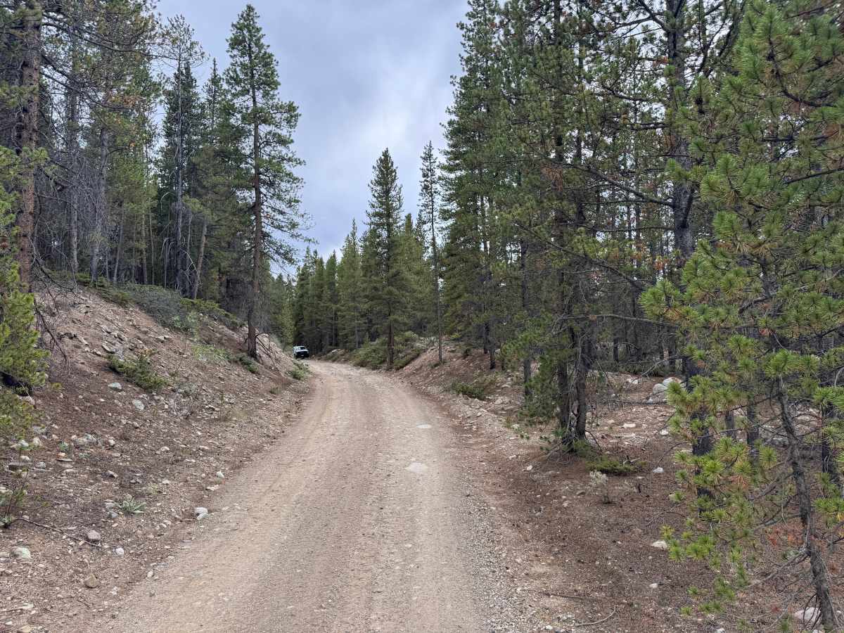 County Road 1d trail photo