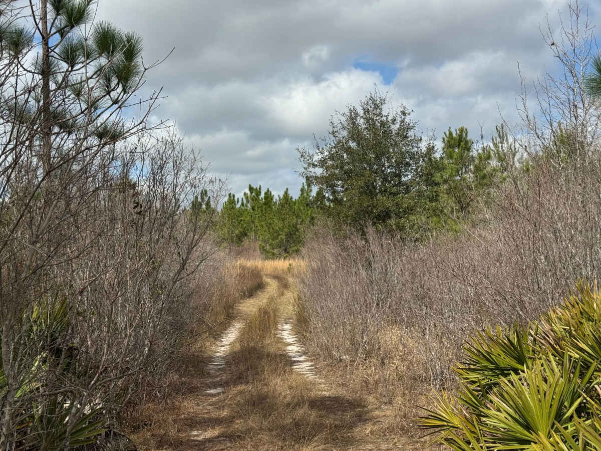Hunting Road photo 5
