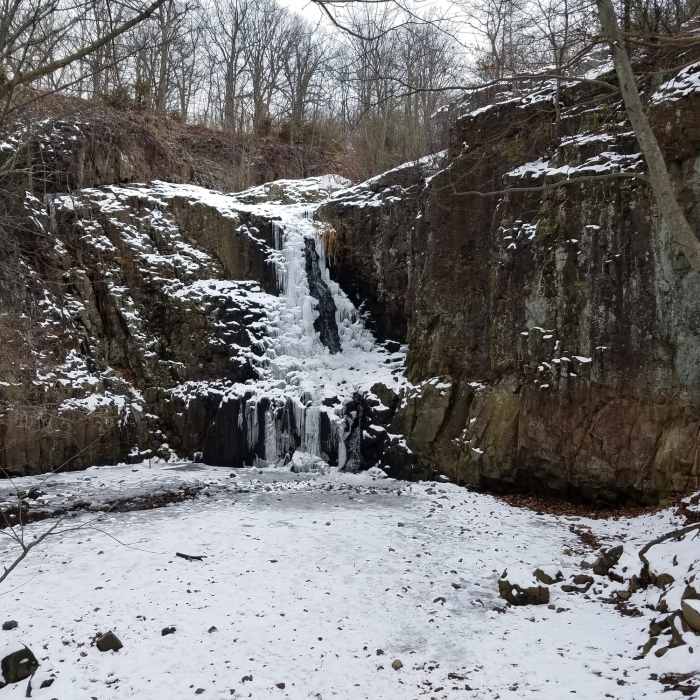 Near Lenape Trail