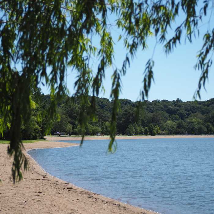 Near Lakeview Loop Trail