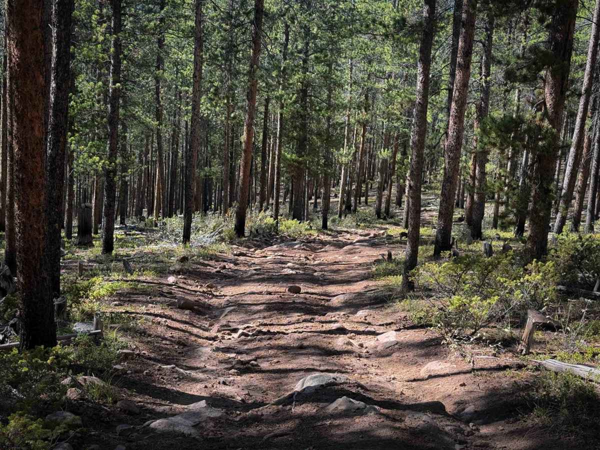 Powderhouse Trail - FS 647  photo 6