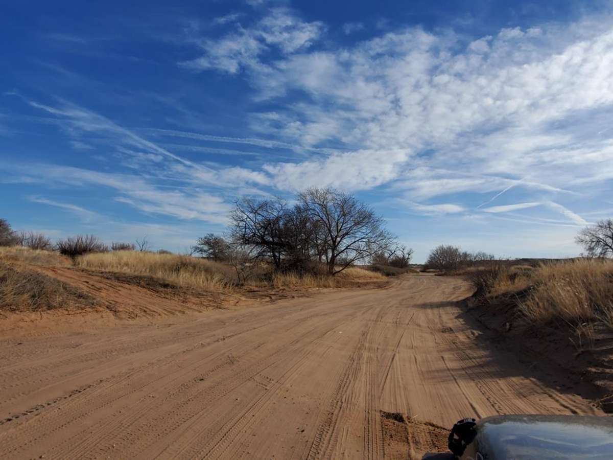 The Main Road trail photo