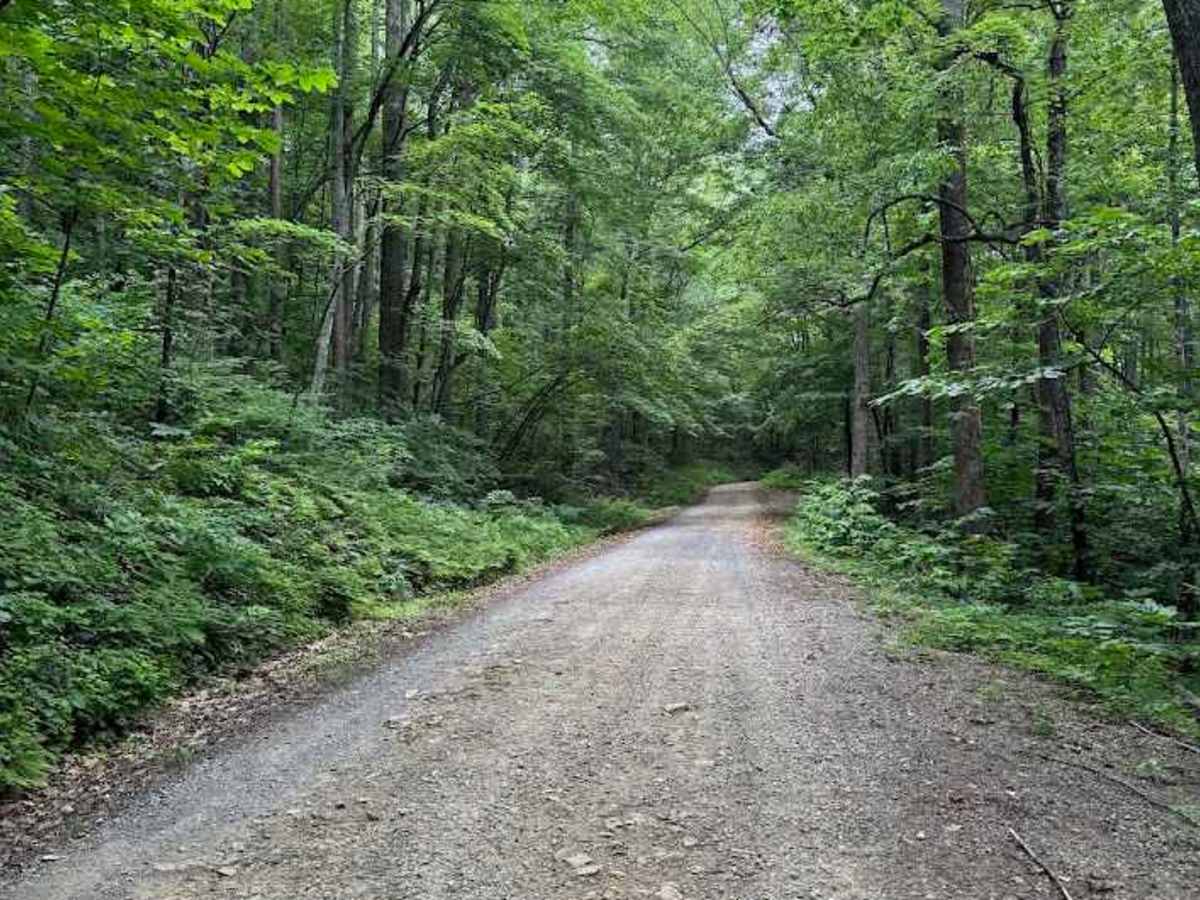 Goff Mountain Road photo 2