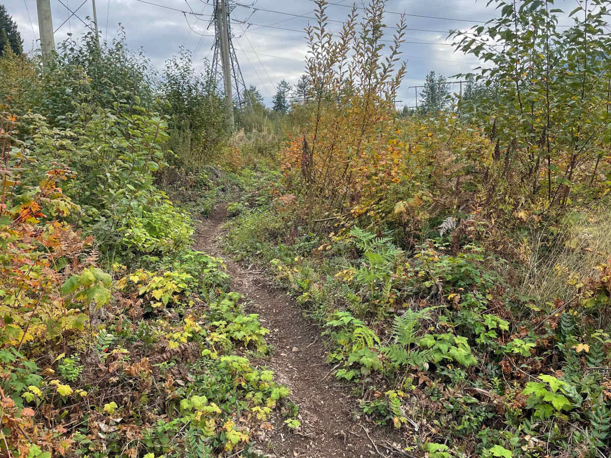 Trials Zone Access photo 3