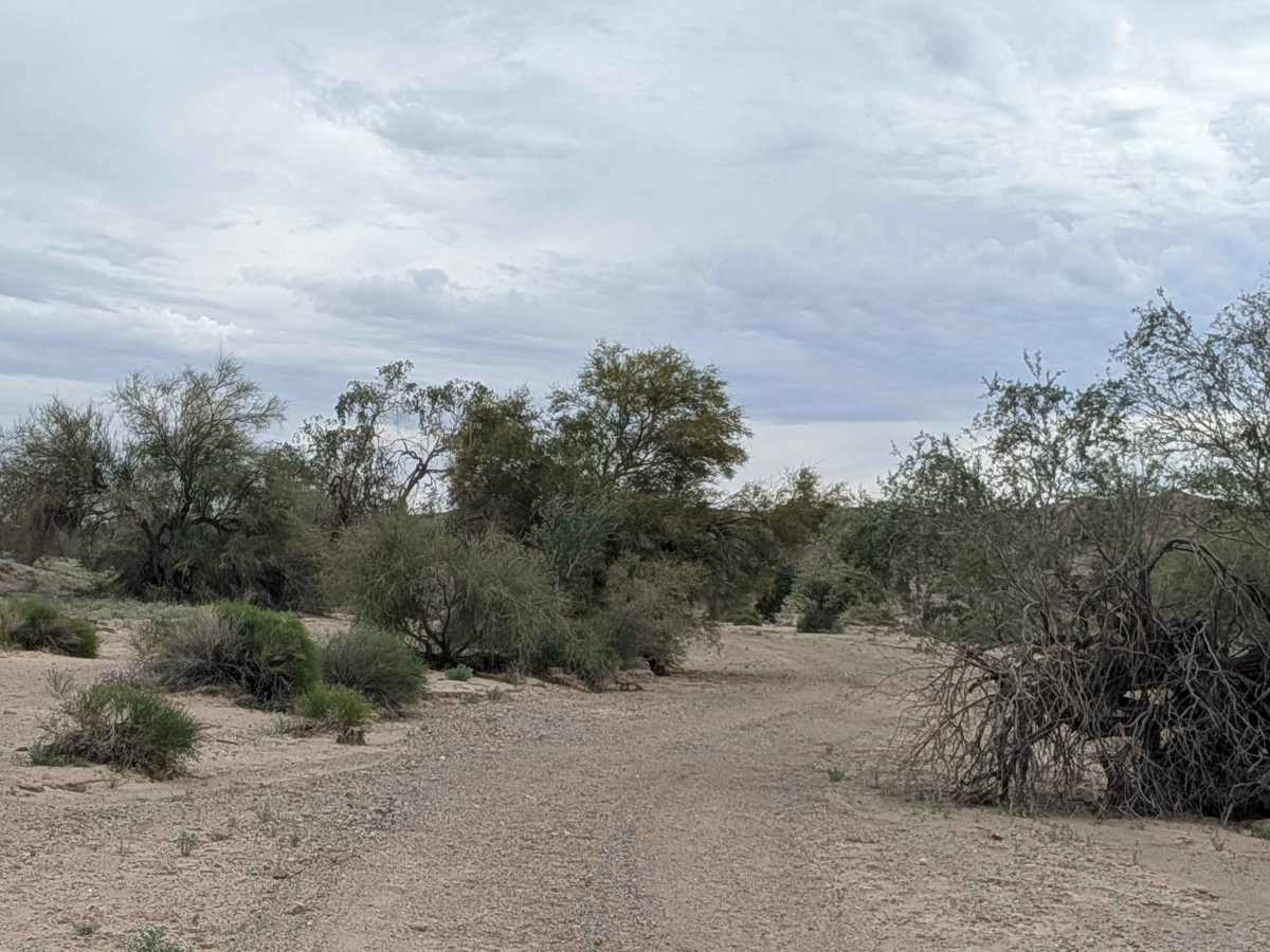 EC1219 photo 5