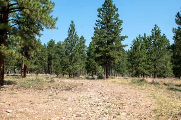Crow Canyon - FS 10266