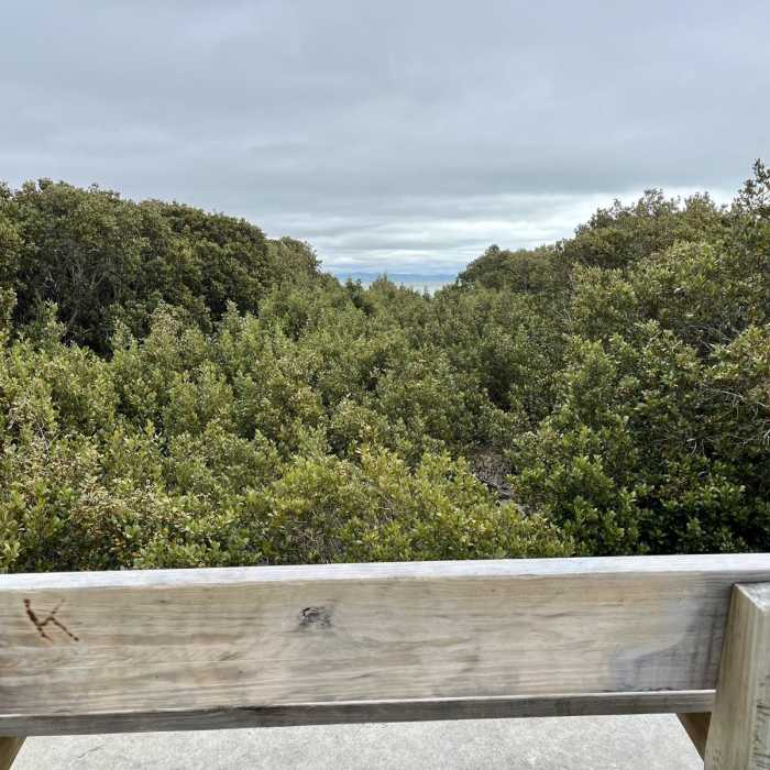 Near Thames Coastal Walkway