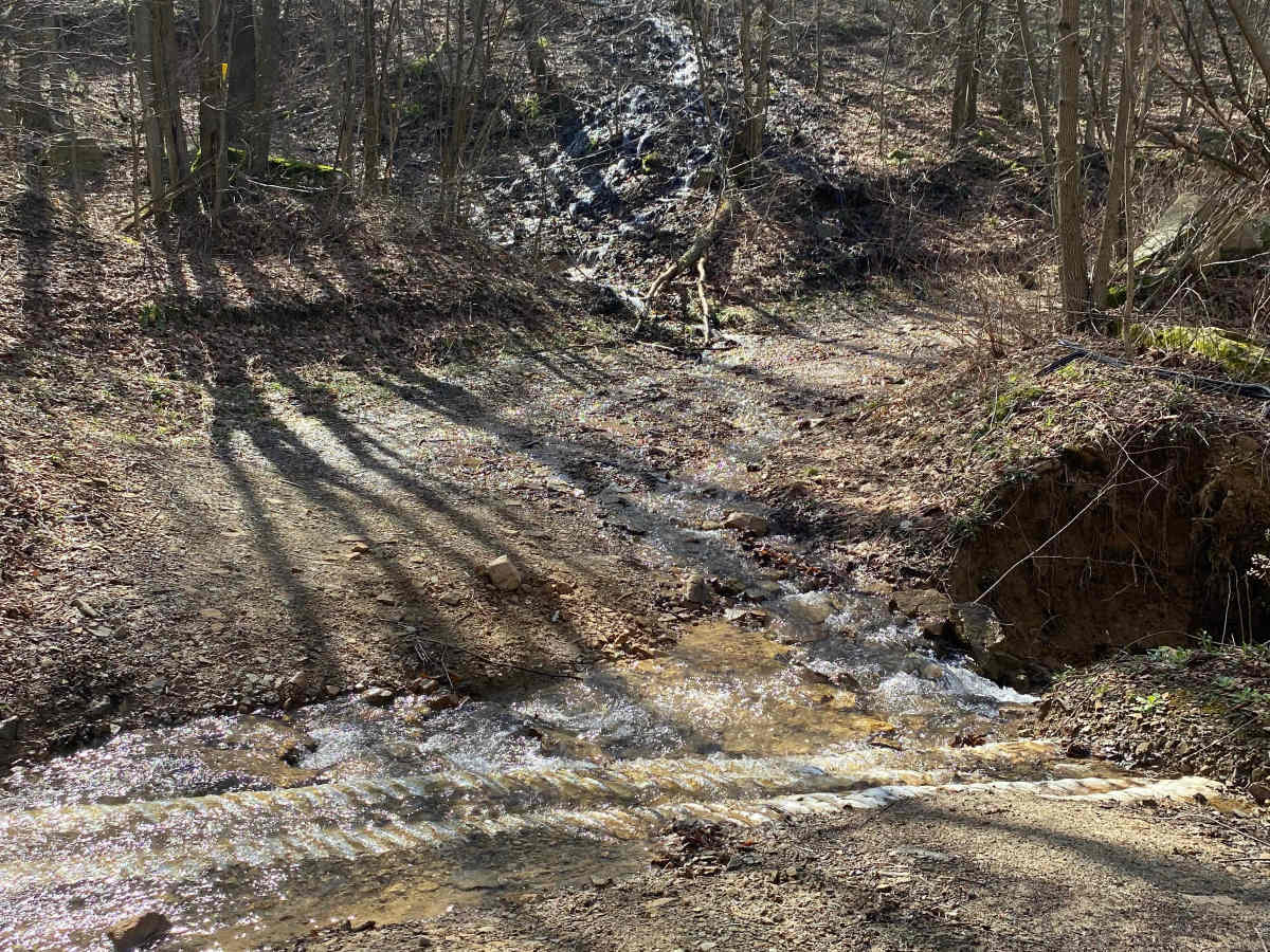 Middle Fork Road photo 5