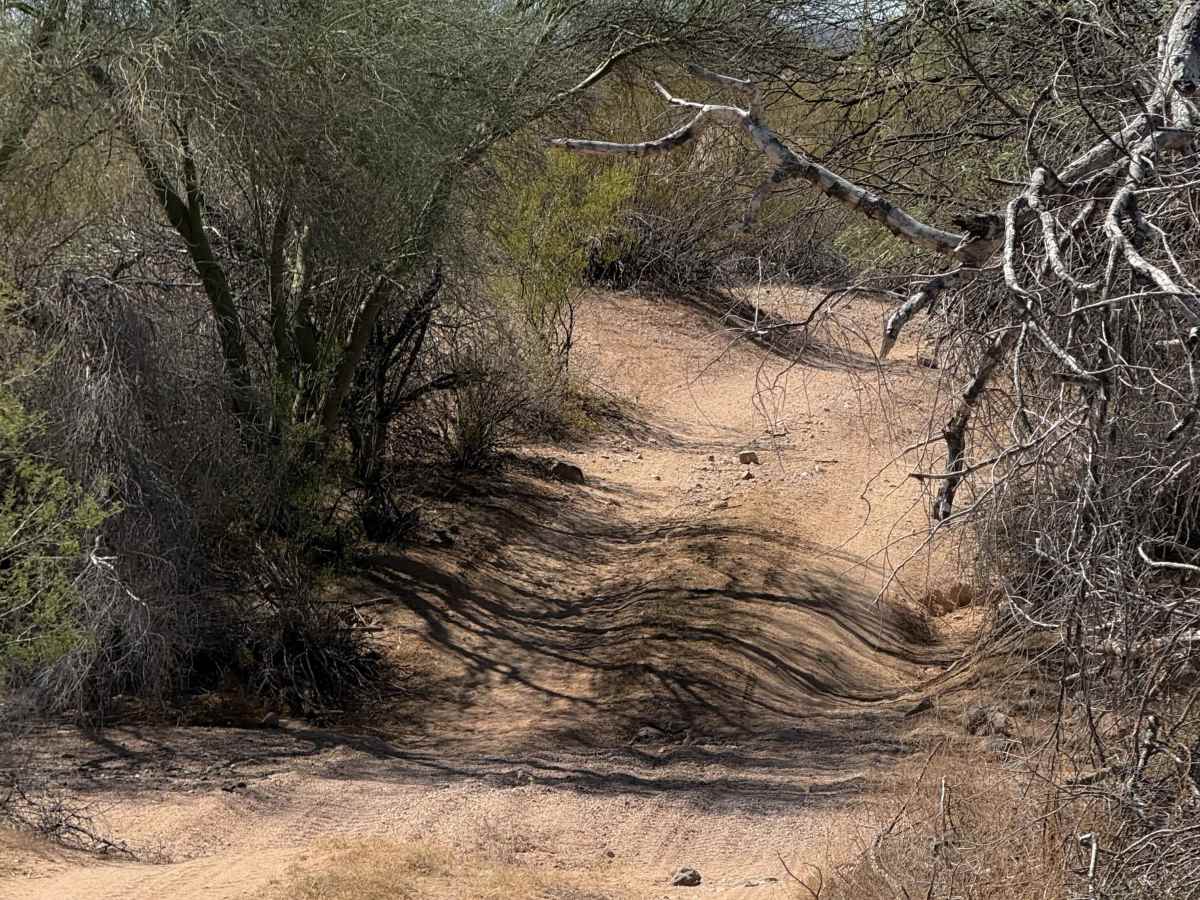 8042 trail photo