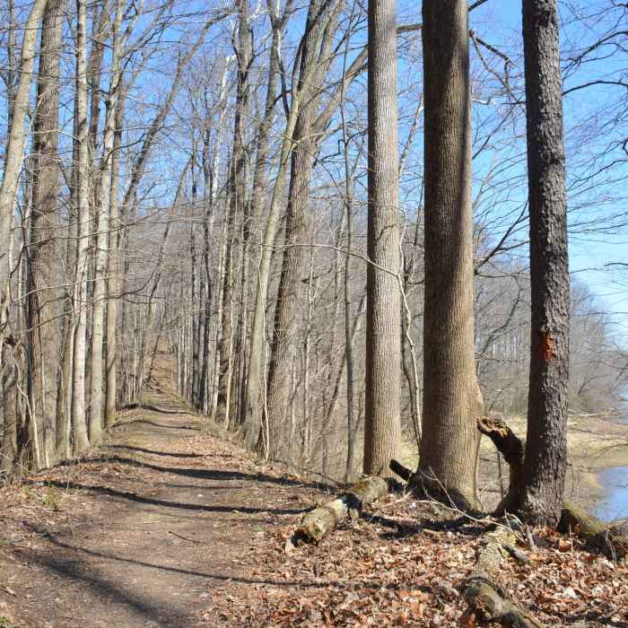 Levee crossing Near Eagle Creek Crest South Short Loop