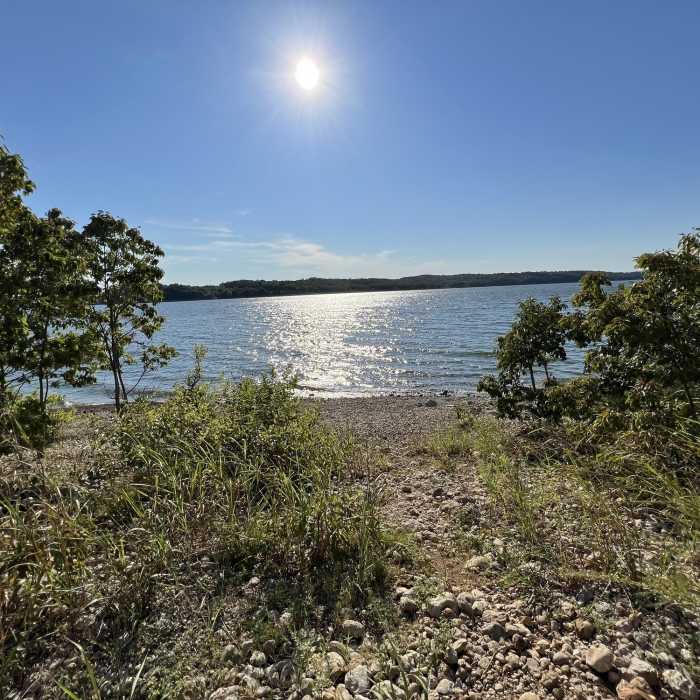 Near Lakeview Trail