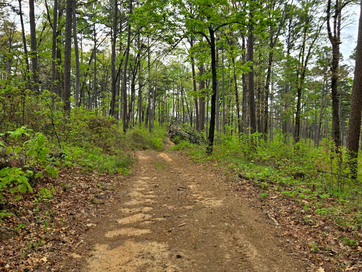 Firebreak Hunterwell photo 2