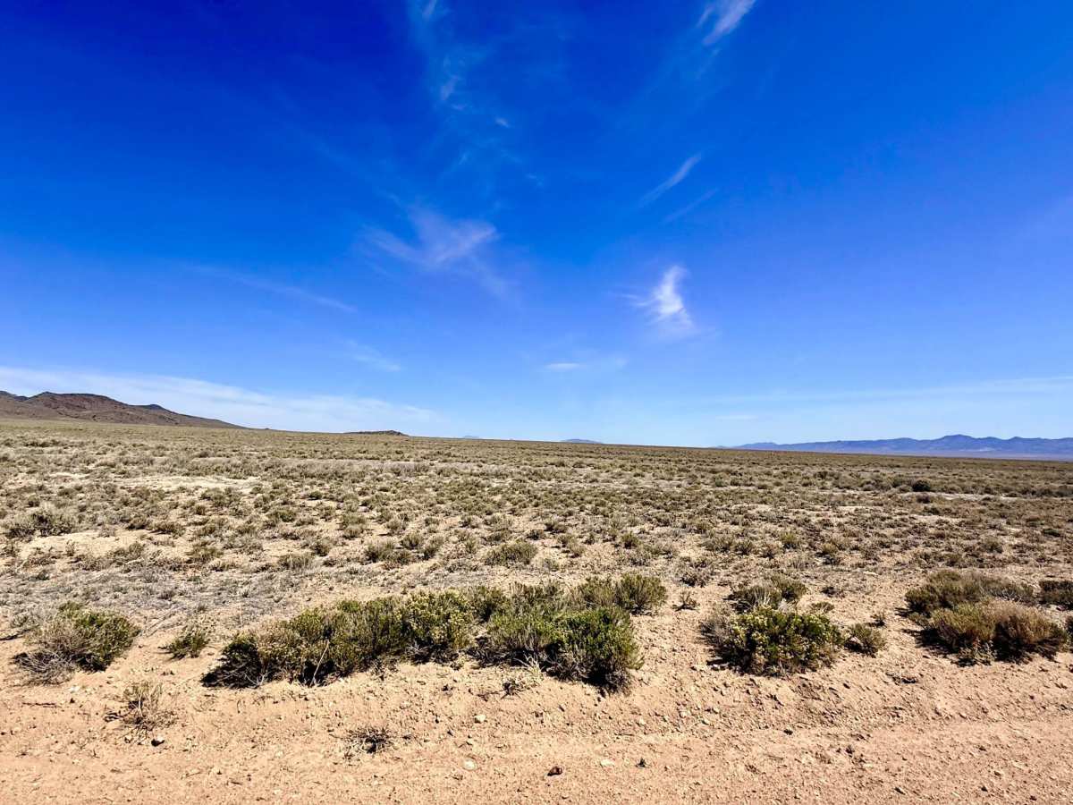 Antelope Valley Connector photo 3