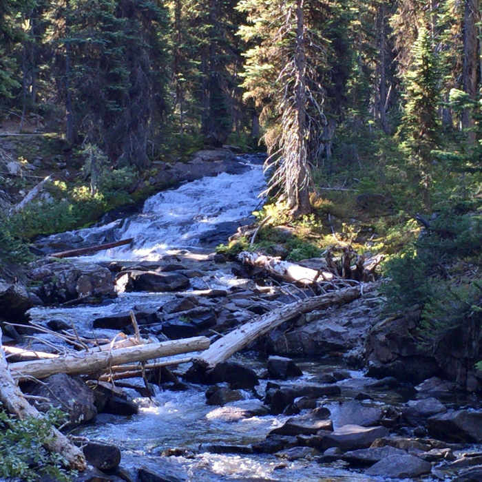 Near West Fork Lostine River Trail #1670