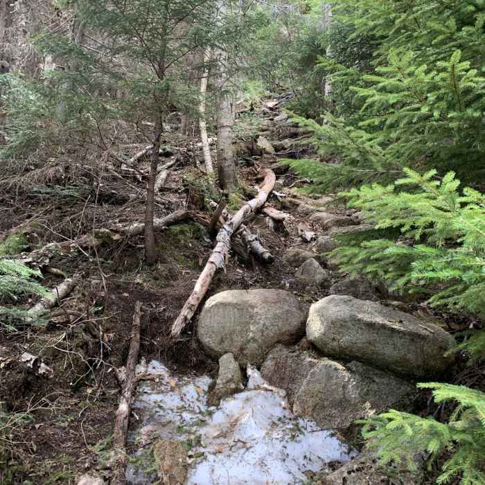 Near Lawrence Trail