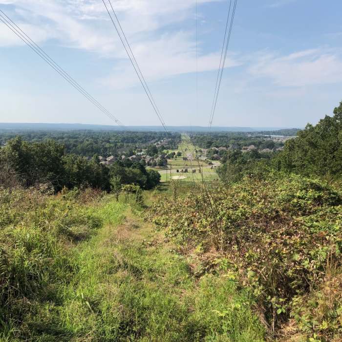 Near Upper Cadron Ridge Trail