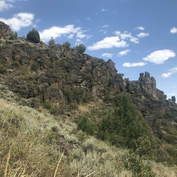 Near Trapper Creek #010