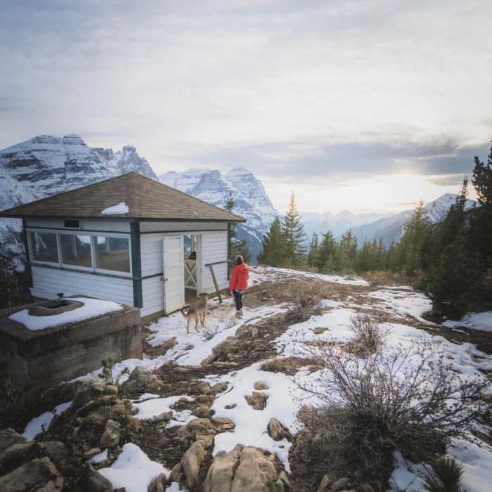 Near Paget Lookout Trail