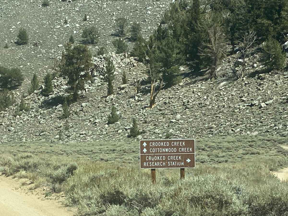 Crooked Creek Loop photo 3