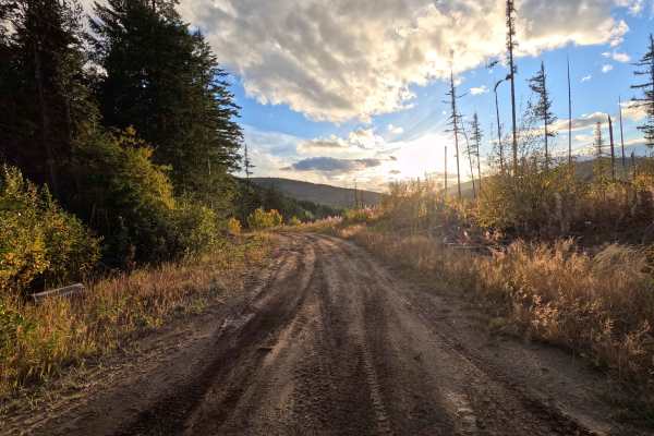 North Baldy - FS 1920306