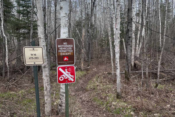 Corduroy Trail