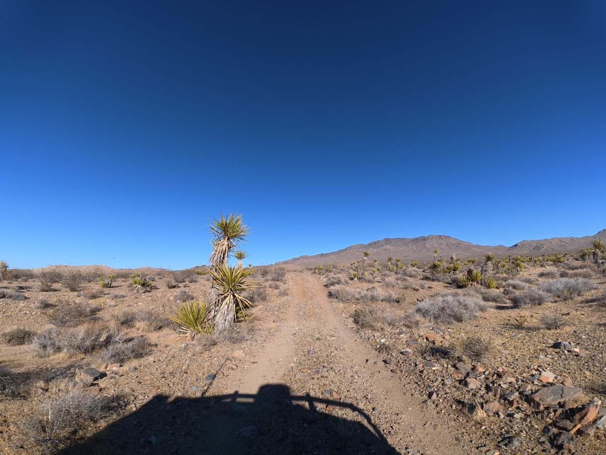 BLM 0M6630 photo 6