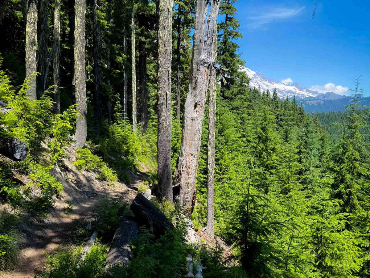 Silver Creek Trail - 258 photo 2
