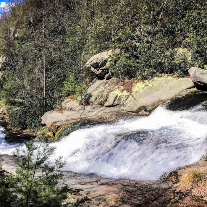 Near Lost Cove Trail