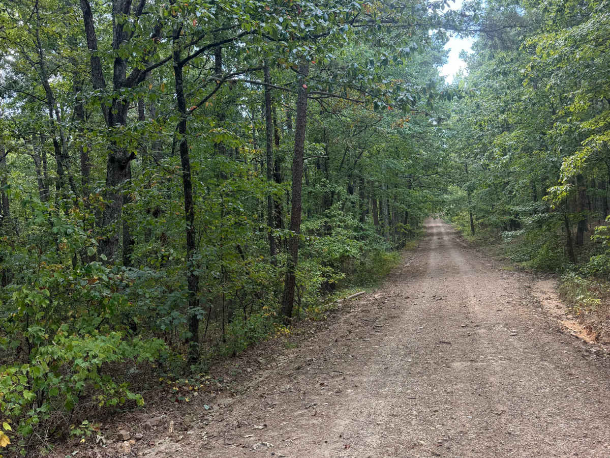 Alum Cross Loop photo 2