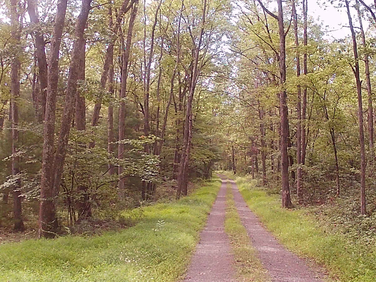 Rupp Hollow Road photo 5