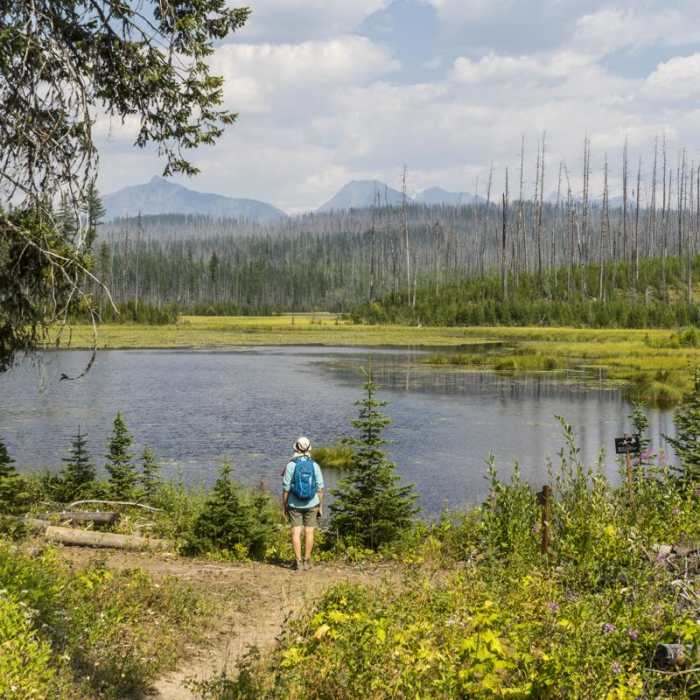 Near Howe Lake Trail