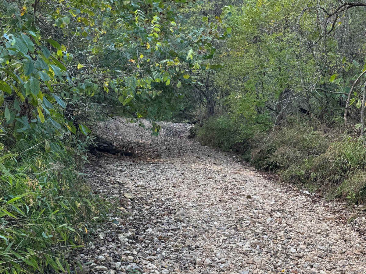 Riverbed photo 4