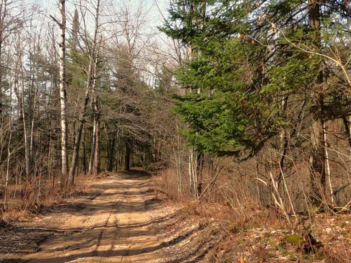 ORV H-57: Mack- Tabor Trail photo 5