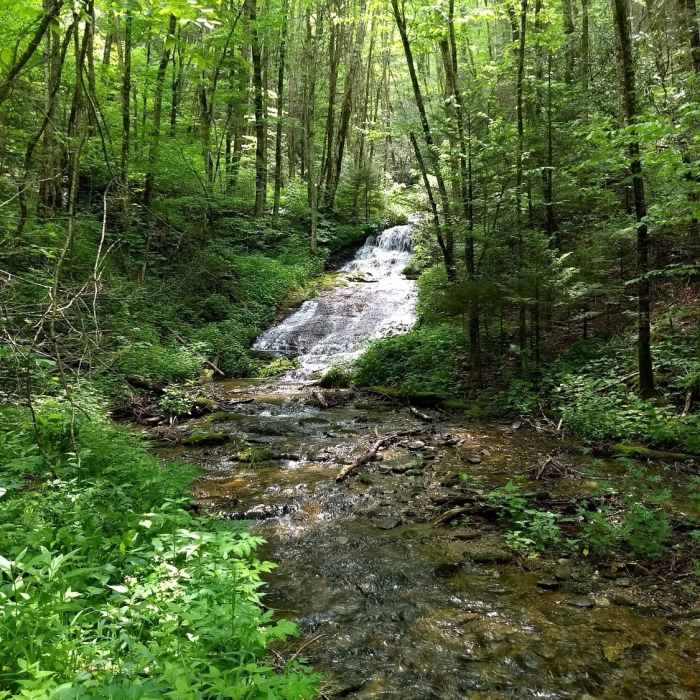 Bear Pen Gap Falls Near Bearpen Gap Waterfall