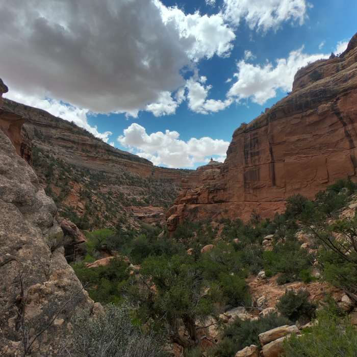 The walls of Bullet Canyon create a nice contrast with the blue desert sky. Near Bullet Canyon Trail