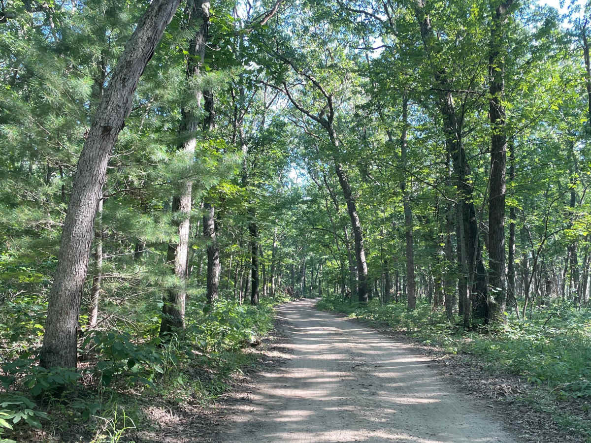 Big Dailey Bayou Trail photo 3