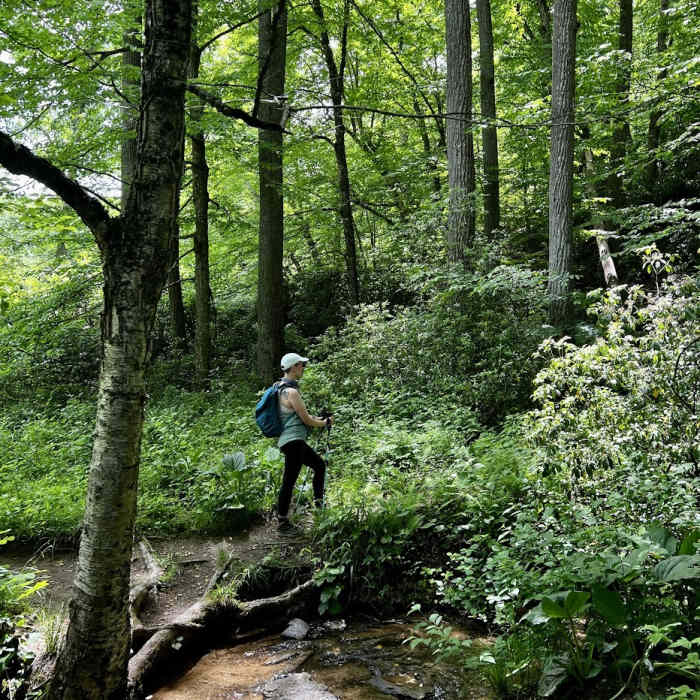 Near Prettyboy Dam Loop