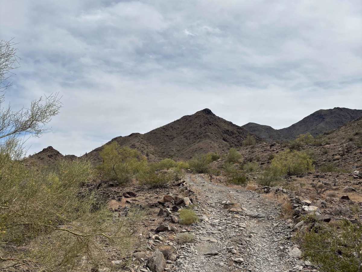 BLM 0127C photo 3