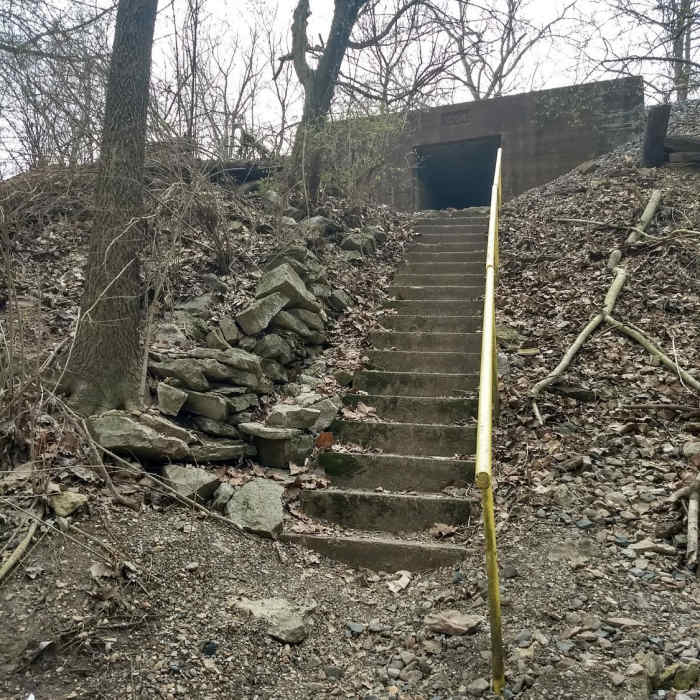 Near Riverscene Trail