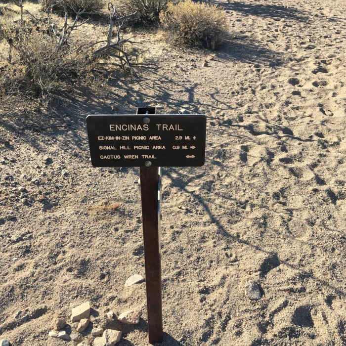 Near Cactus Wren Trail