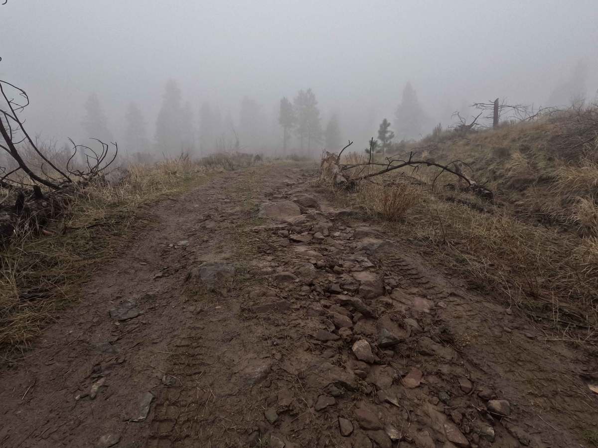 Tarpiscan Road Spur photo 3