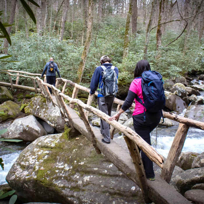 Near Porters Creek Trail to Fern Branch Falls Near Porters Creek Trail to Fern Branch Falls