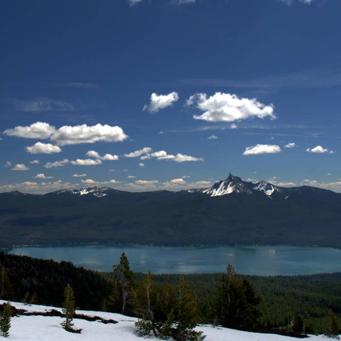 Near Mt. Bailey Trail #1451