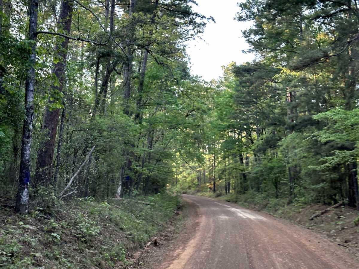 County Road 1125 photo 3