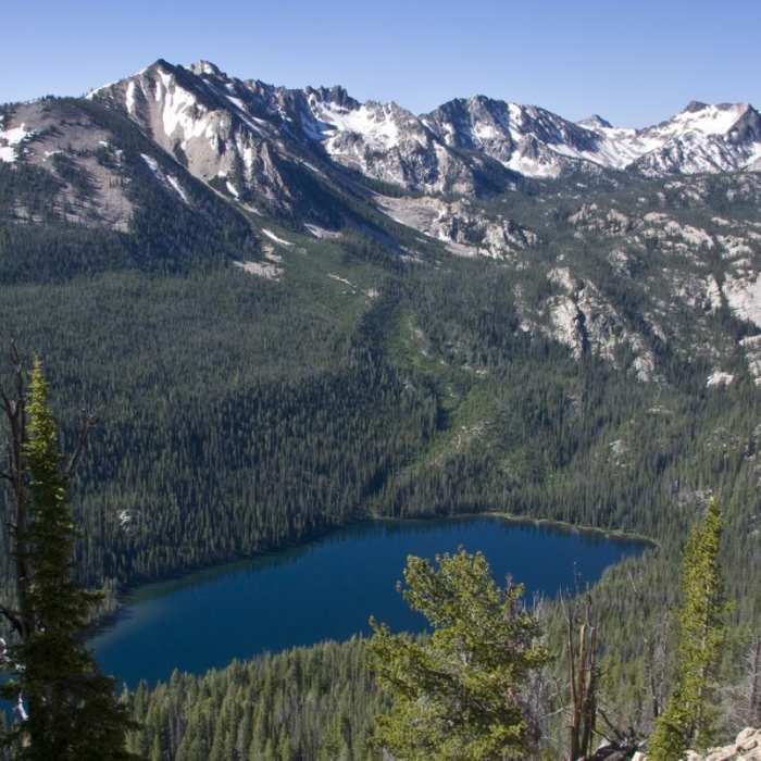 Near Huckleberry Creek